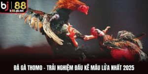 Đá Gà Thomo